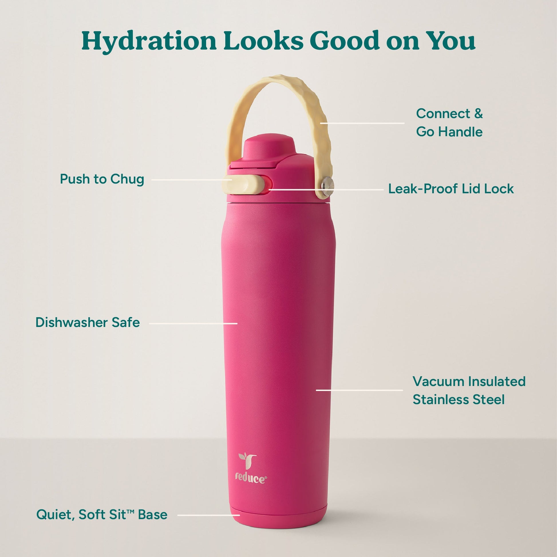 aura-26-oz-r8 Aura_26oz_DragonFruit_PDP_Infographic_2-03.jpg