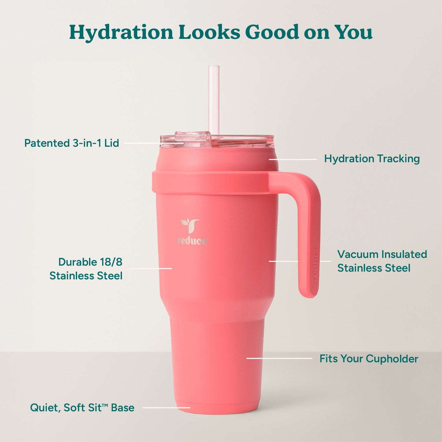 cold1-40-oz-a2 Cold1_40oz_Daiquiri_Infographic_2.jpg