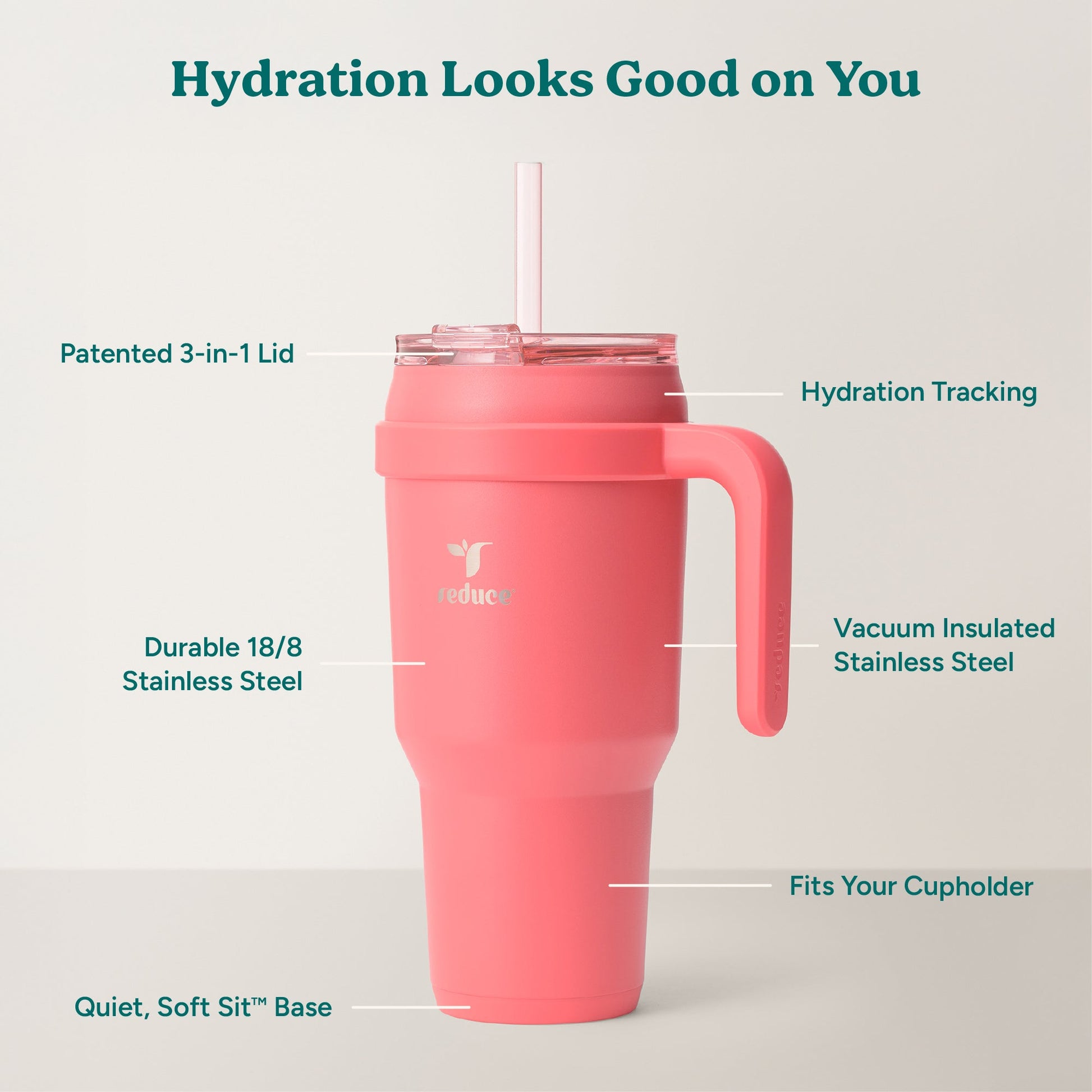 cold1-40-oz-a2 Cold1_40oz_Daiquiri_Infographic_2.jpg