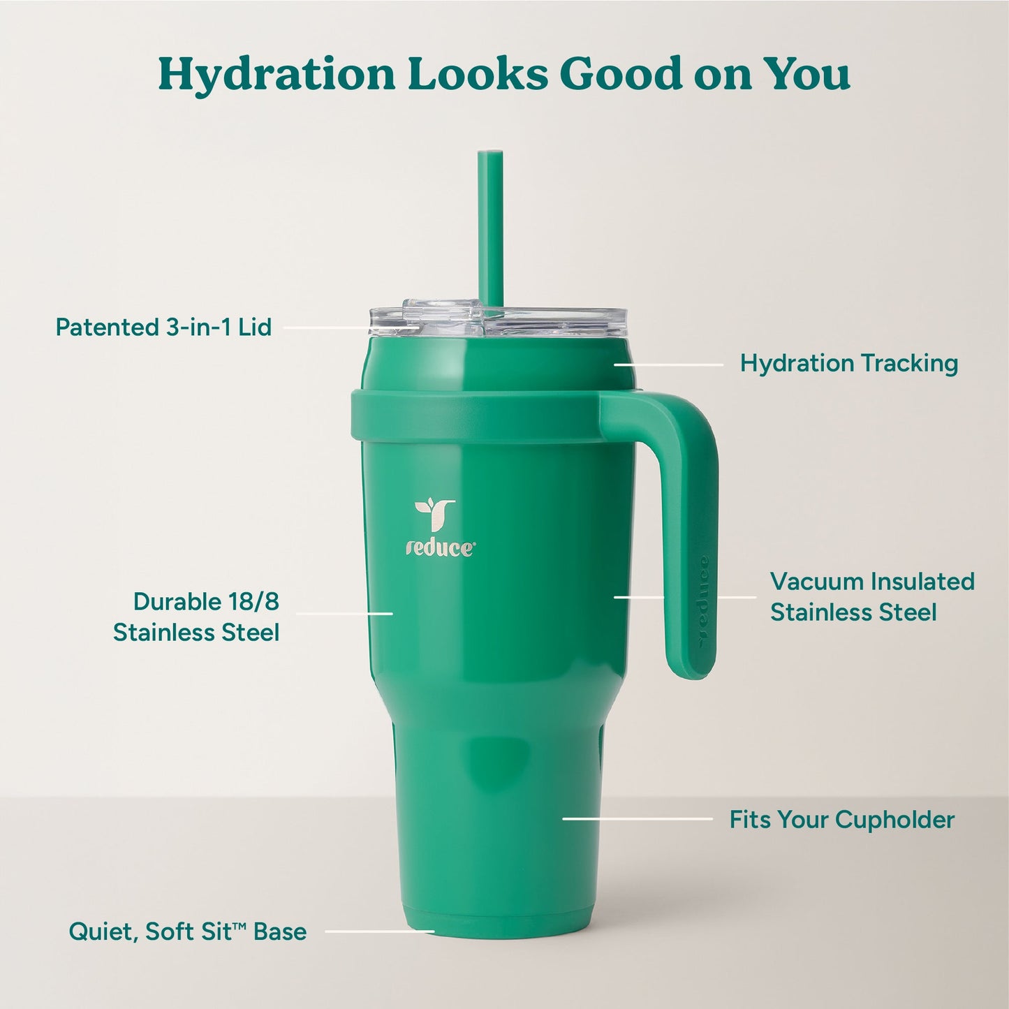 cold1-40-oz-a2 Cold1_40oz_PalmLeaf_Infographic_2.jpg