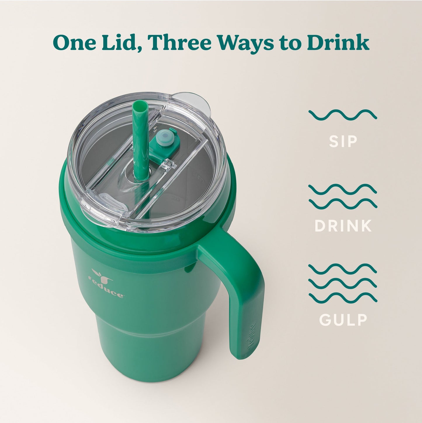 cold1-40-oz-a2 Cold1_40oz_PalmLeaf_Infographic_3.jpg