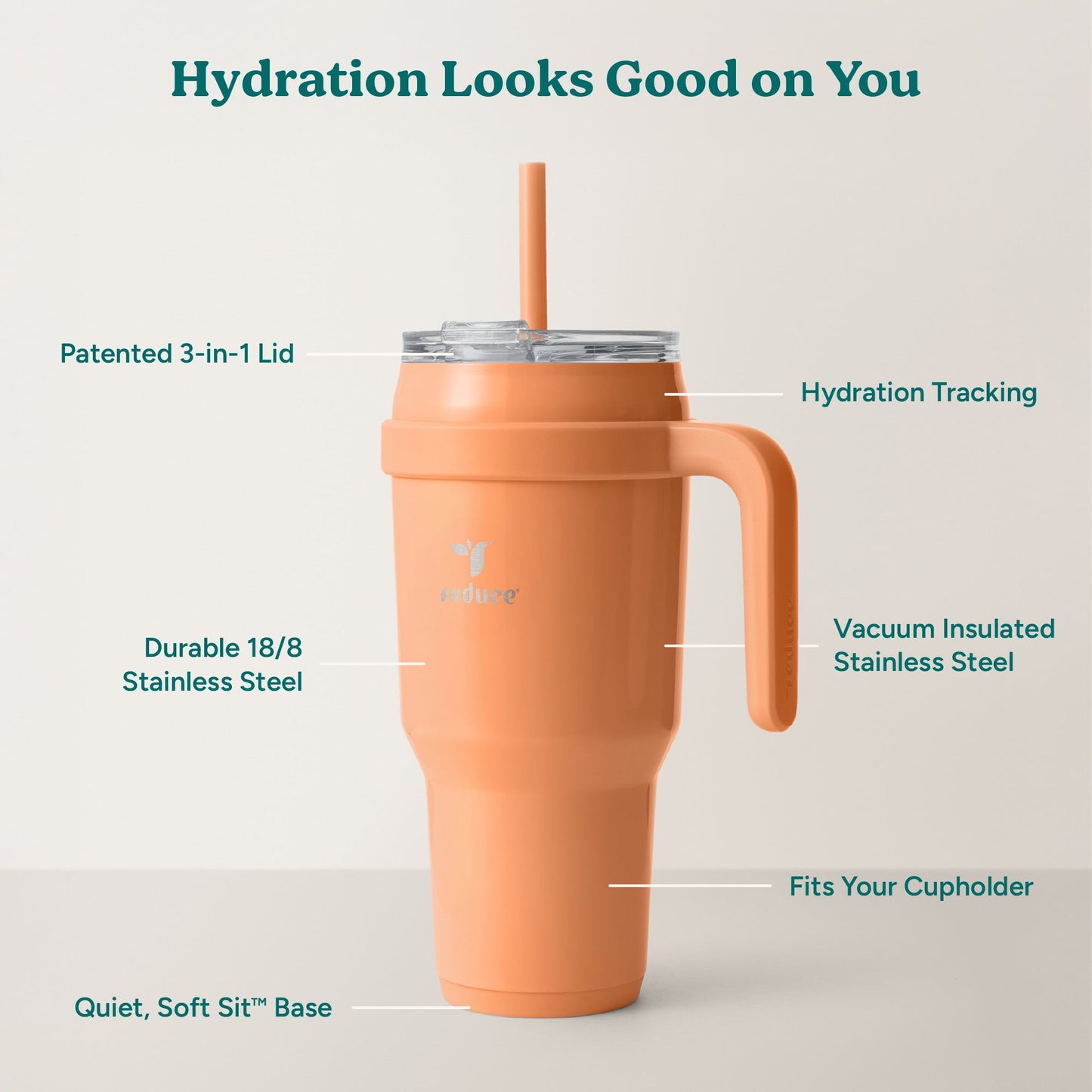 cold1-40-oz-a2 Cold1_40oz_Papaya_Infographic_2.jpg