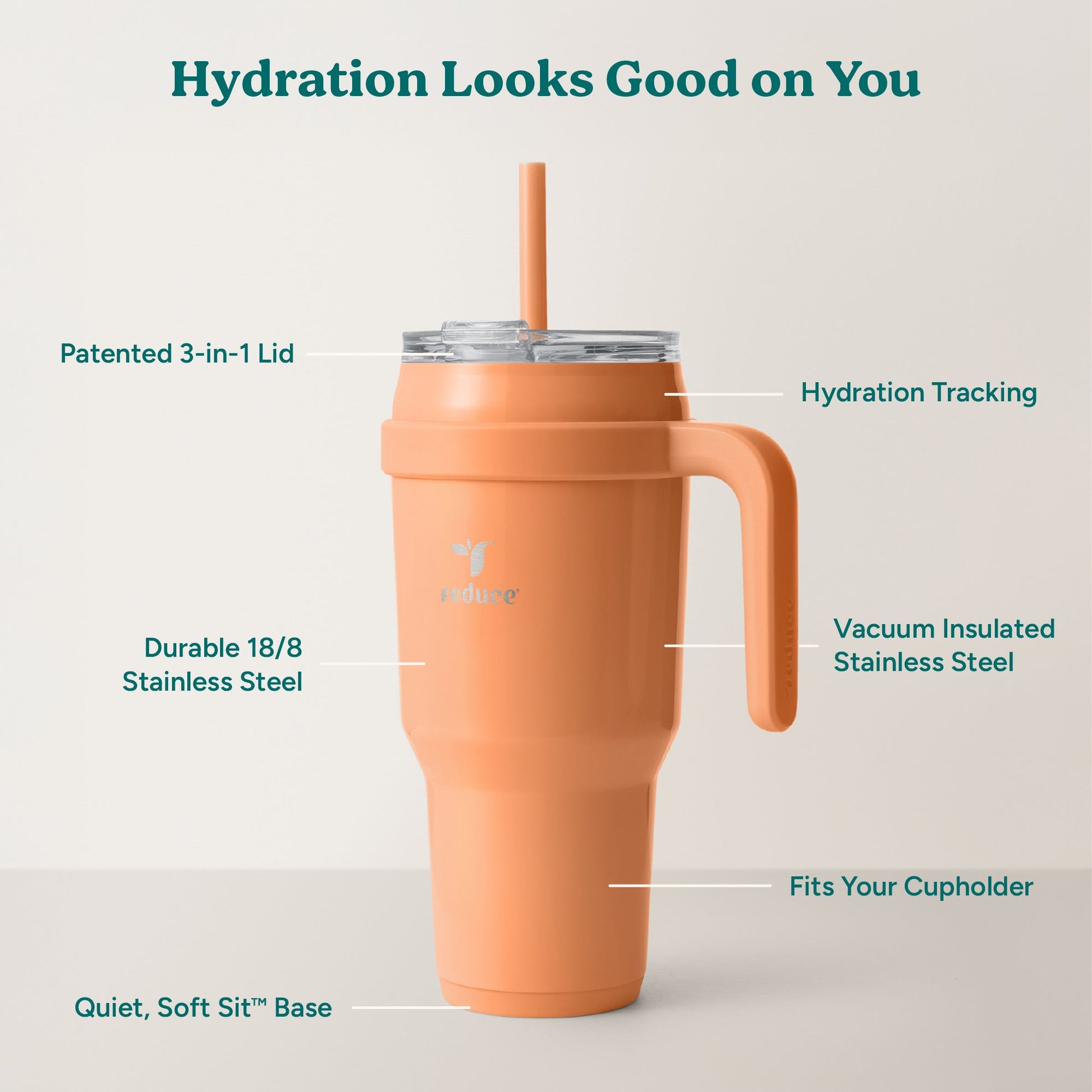 cold1-40-oz-a2 Cold1_40oz_Papaya_Infographic_2.jpg
