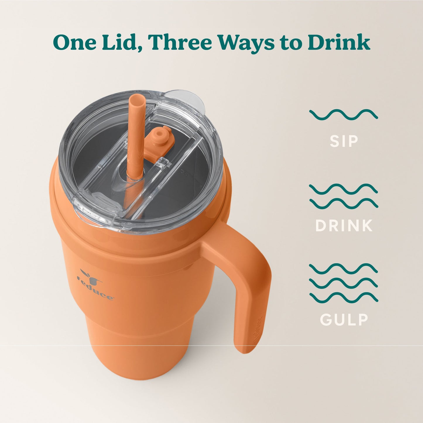 cold1-40-oz-a2 Cold1_40oz_Papaya_Infographic_3.jpg