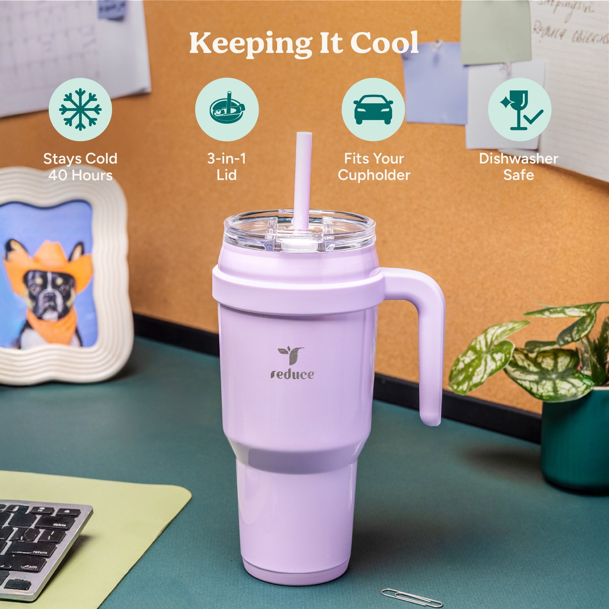 cold1-40-oz-a2 Cold1_40oz_PinaColada_Infographic_1.jpg