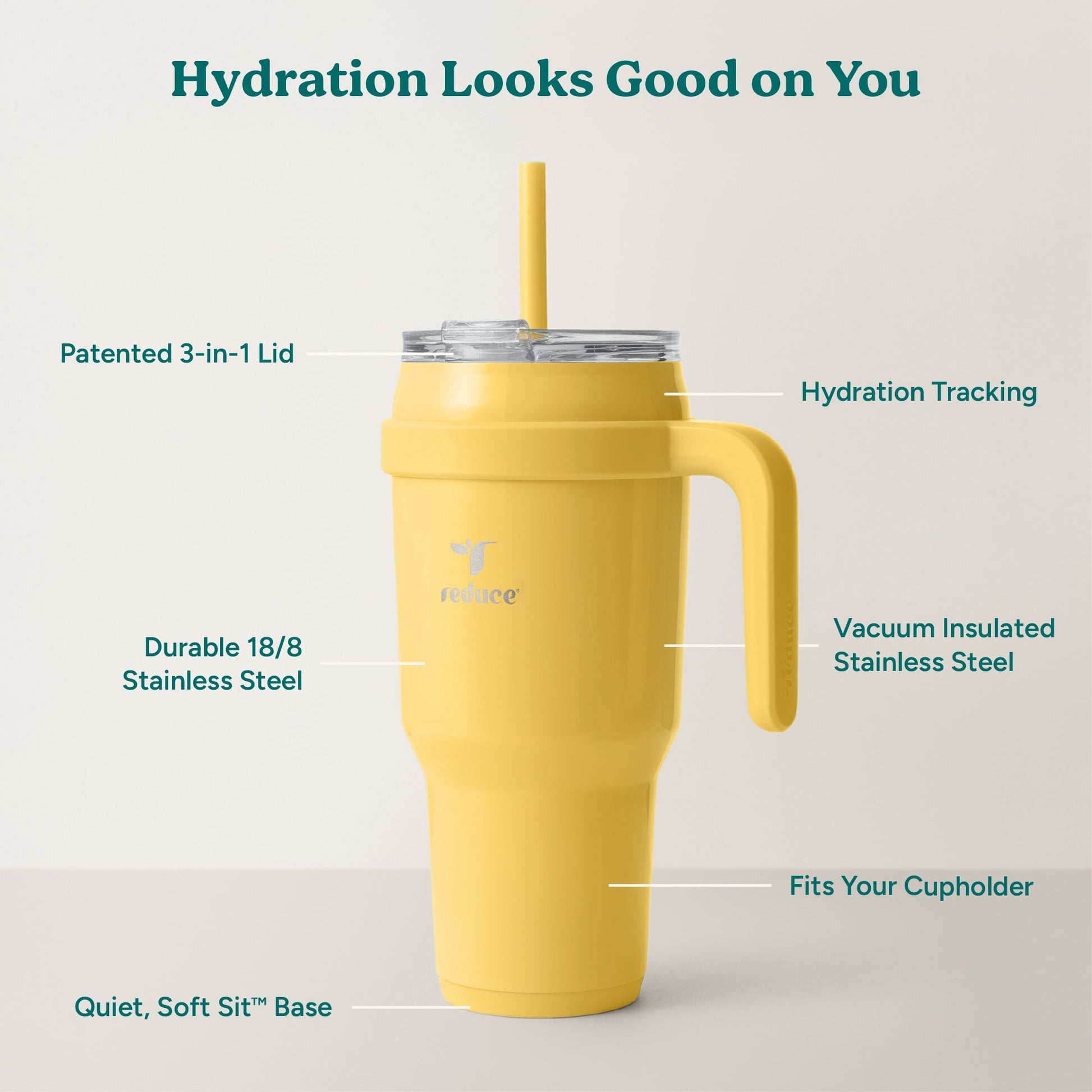 cold1-40-oz-a2 Cold1_40oz_Pineapple_Infographic_2.jpg